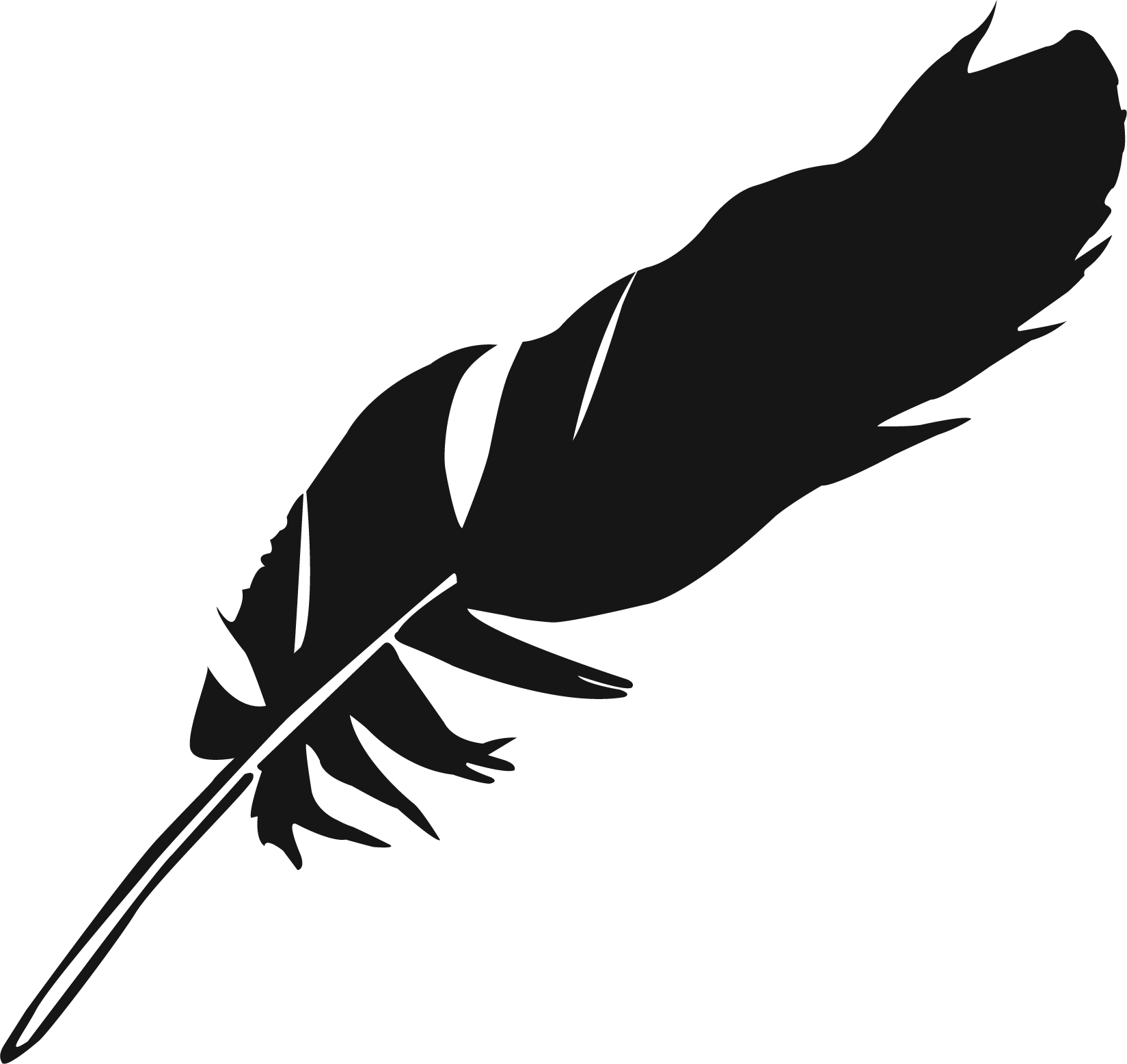 Eagle Feather